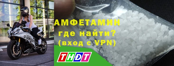 шишки Белокуриха